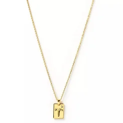 Discount Arms of Eve Zodiac Gold Tag Necklace