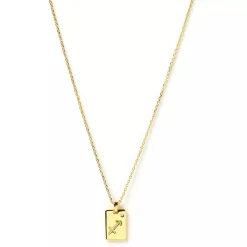 Discount Arms of Eve Zodiac Gold Tag Necklace