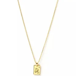 Discount Arms of Eve Zodiac Gold Tag Necklace