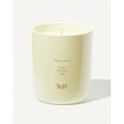 Discount Leif Flannel Flower Candle