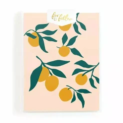 Hot Fox & Fallow Muse Lemons Greeting Card Boxed Set
